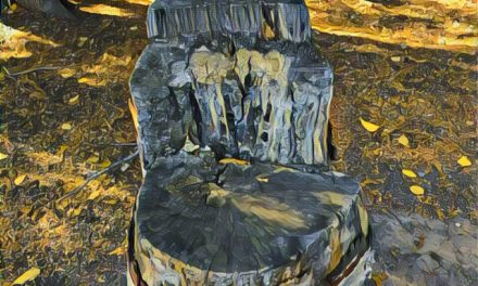 Nature’s chair – by Darlene Tranquada