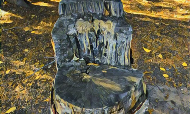 Nature’s chair – by Darlene Tranquada